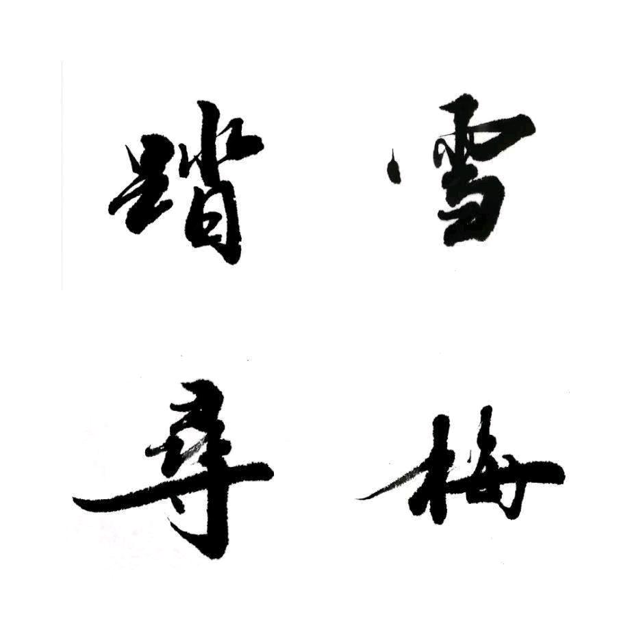 踏雪寻梅6699