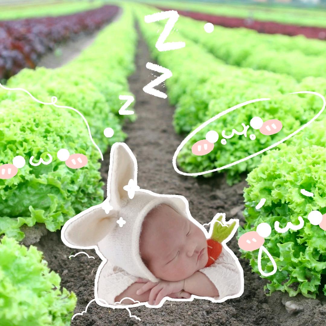 茉莉宝儿