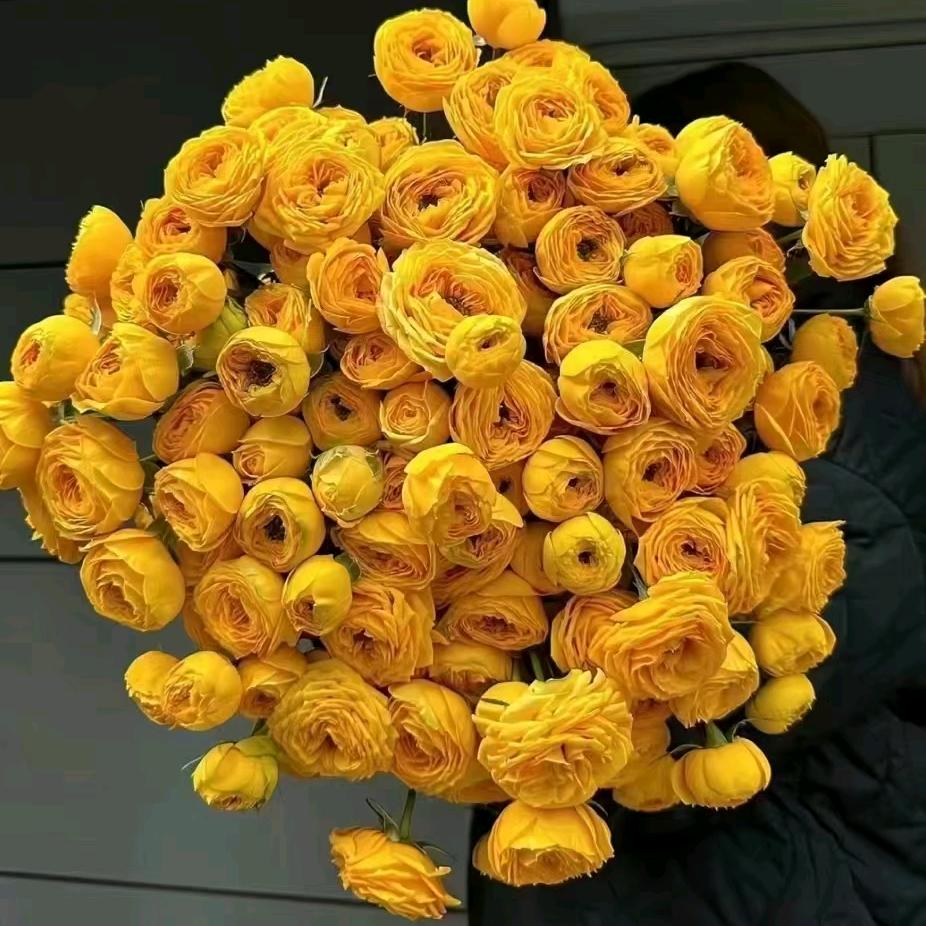 愿善良的人，都会被世界温柔以待