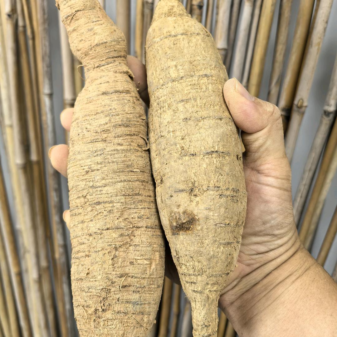 素汐精美滋补营养专卖店