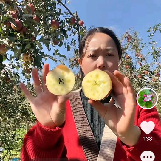 凉山兰姐（苹果季）