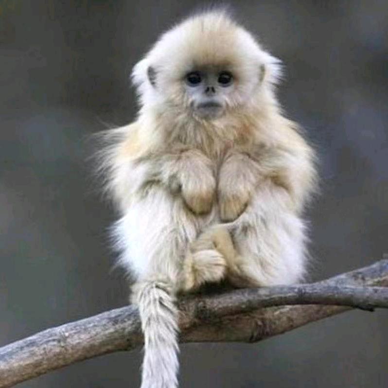 思恩女裤  工厂店