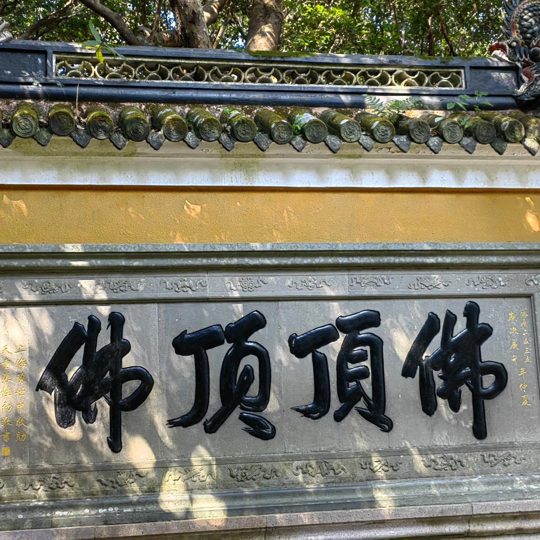 江湖姐姐
