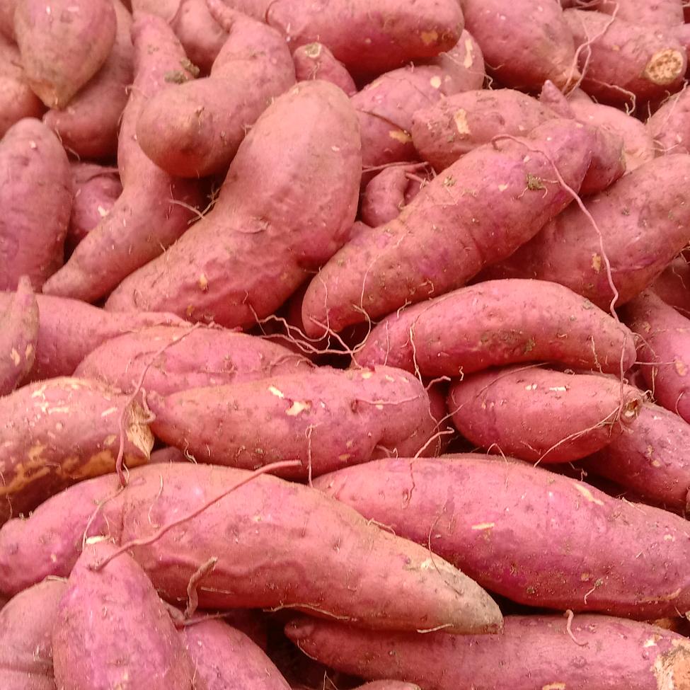 用户9126836097775