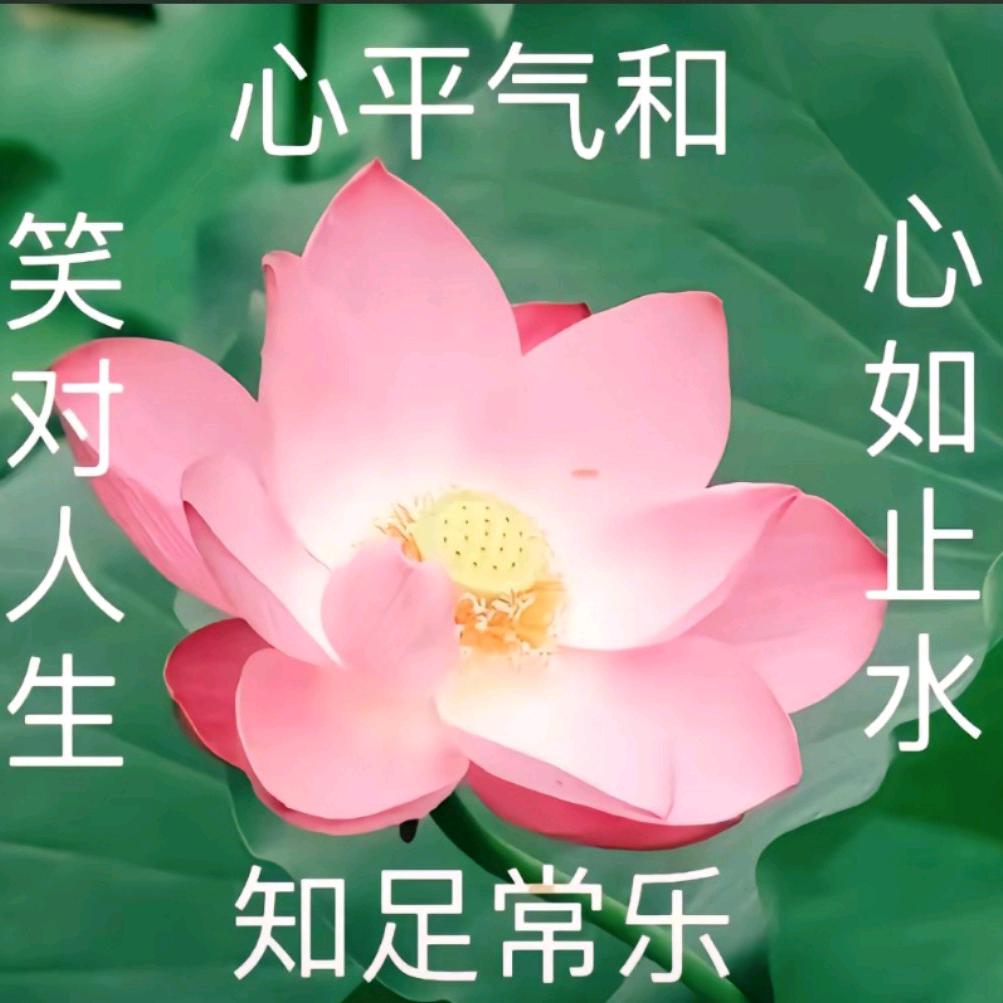 棠富贵