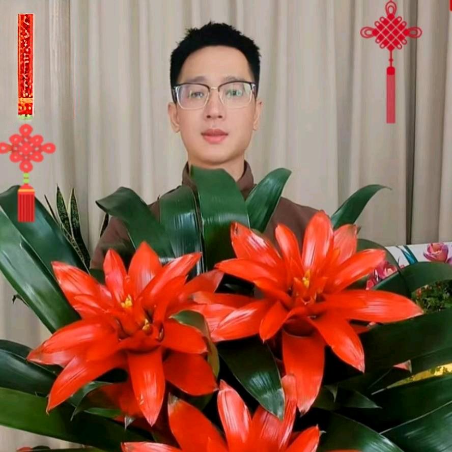 植物日记