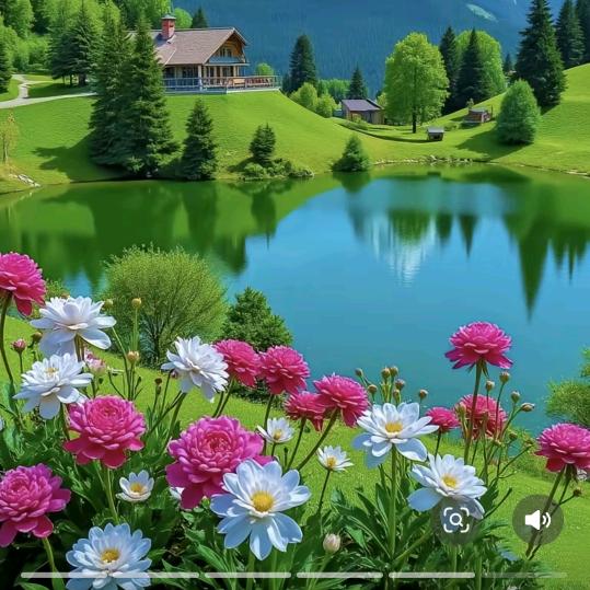 欲戴皇冠我为王