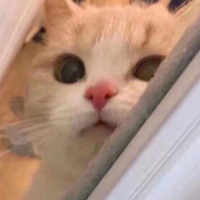 不想吃芋头啦！