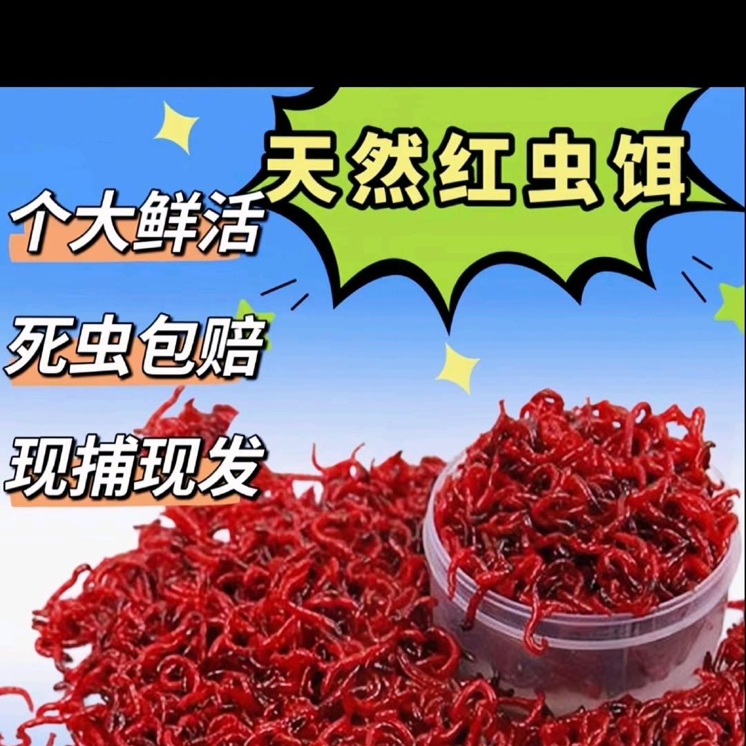 老渔夫红虫基地