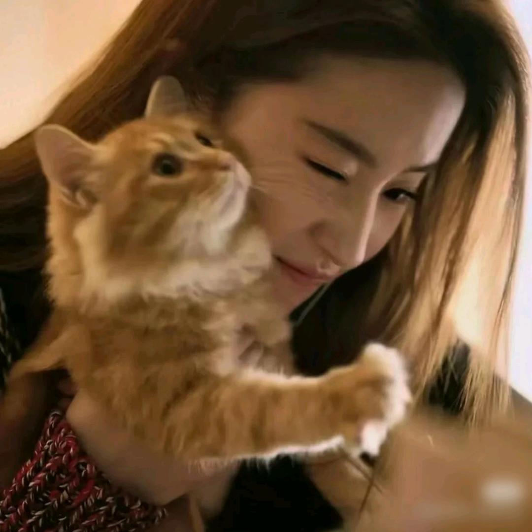 某人没事多盖点土  别乱瞎蹦跶