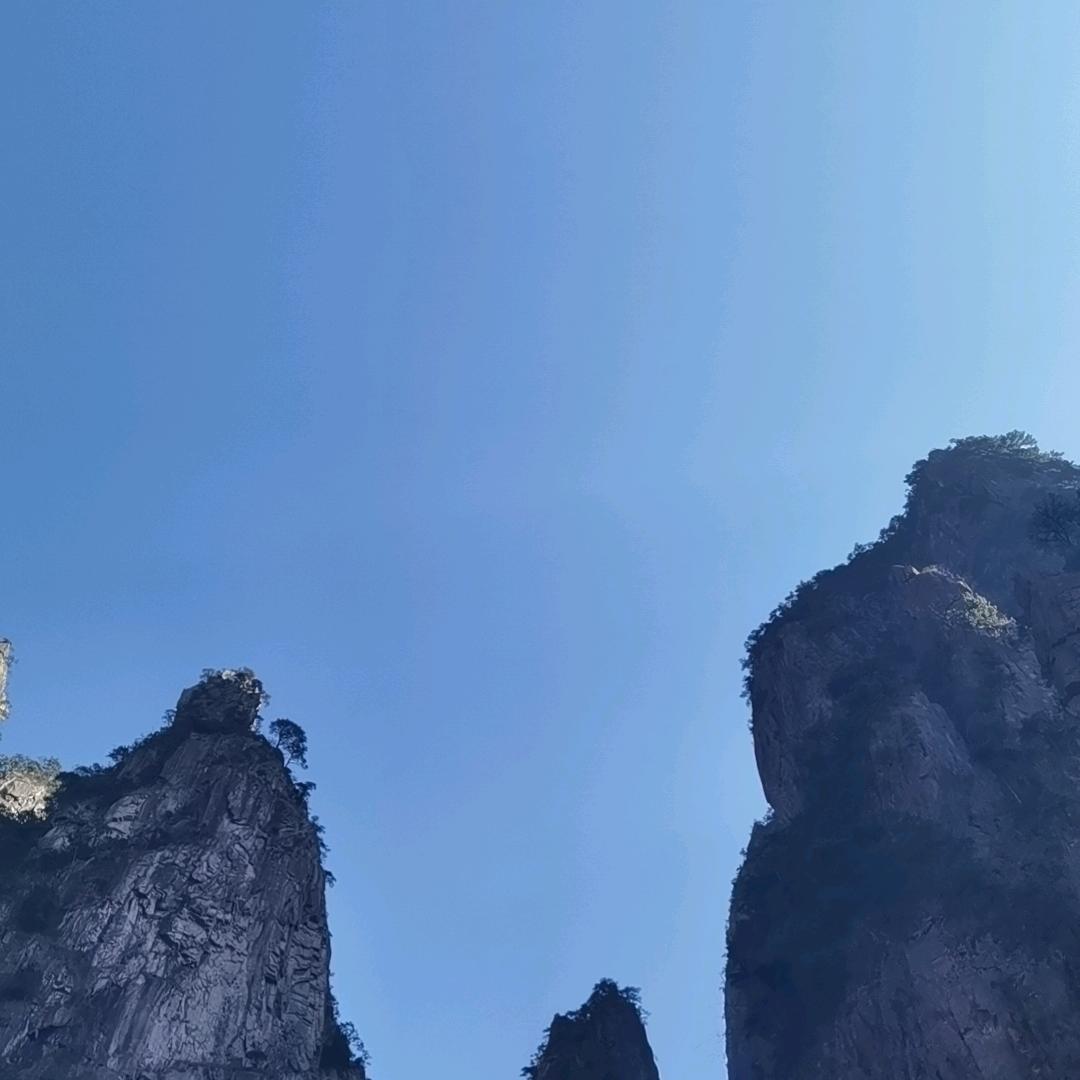 佛缘.
