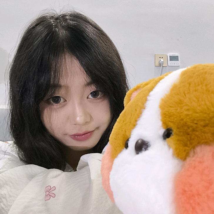 003号美羊羊