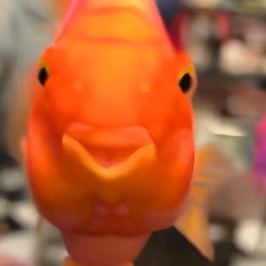 人