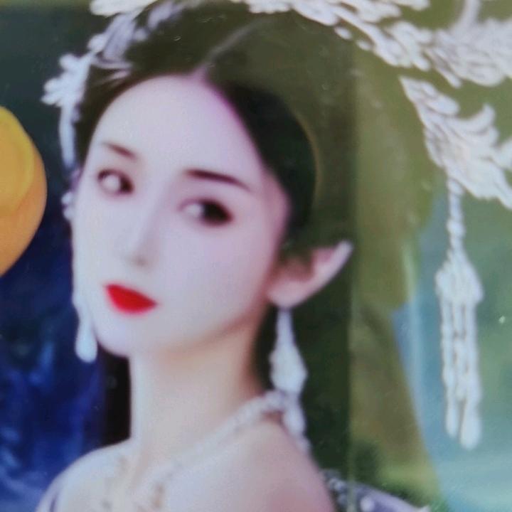 真心真意