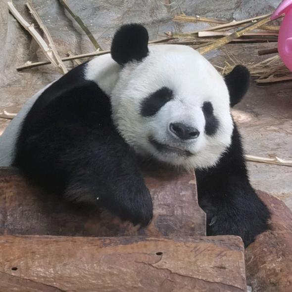 我不帮她谁帮她