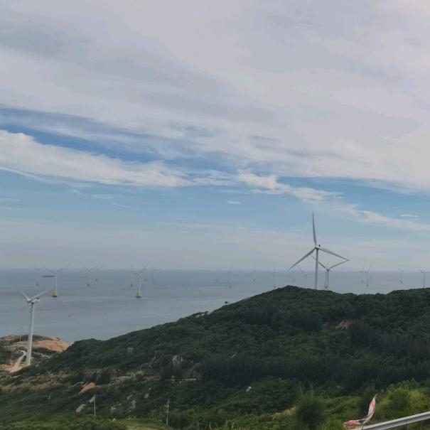 朱大桂
