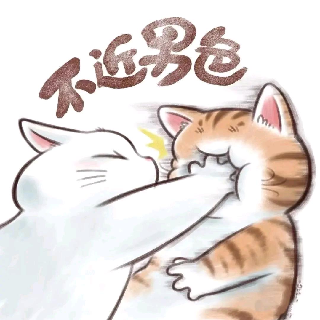 °风有约🌸