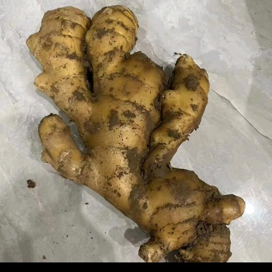 小霞生鲜