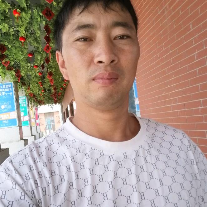 龙哥
