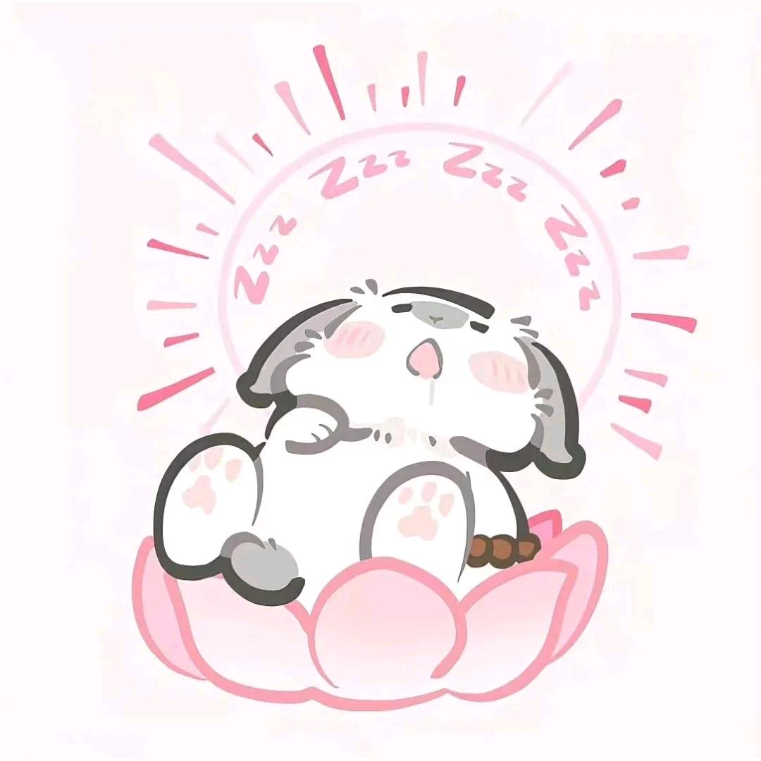 喵喵爱睡觉💤