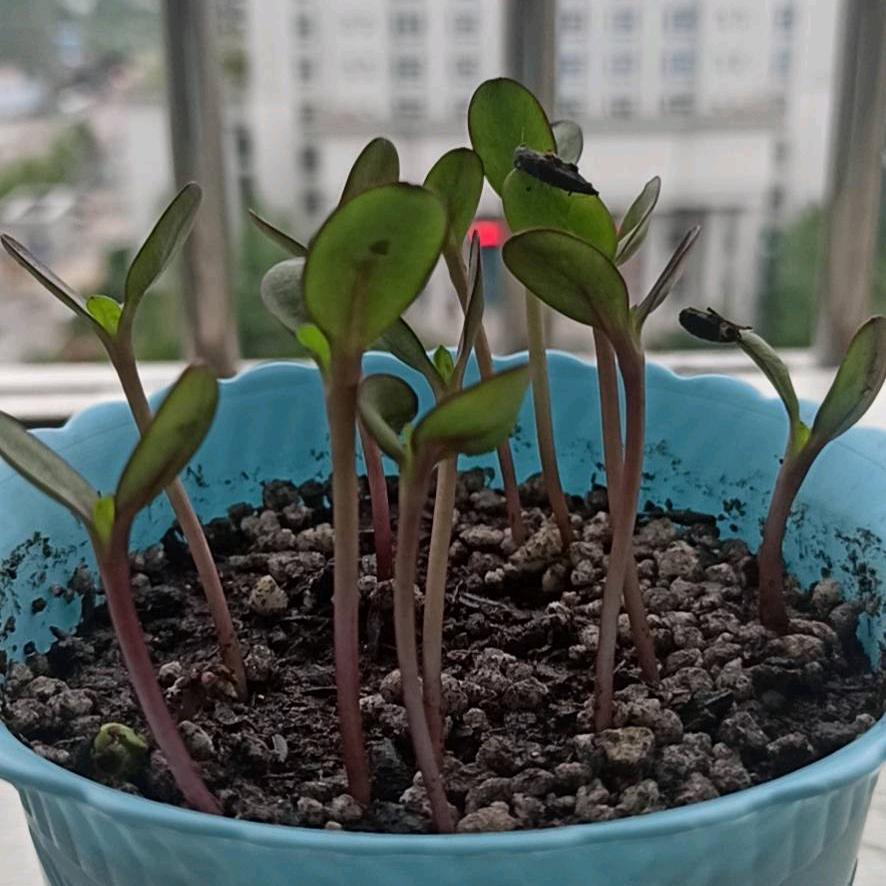 今生无悔