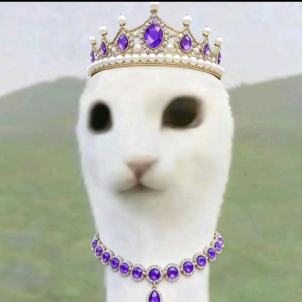 ⁺云堇青青 ˖(项链版