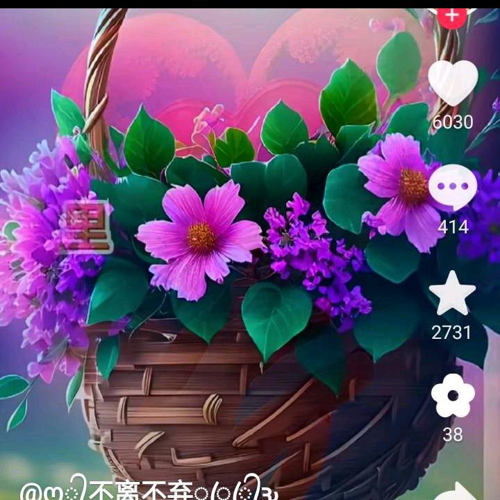 来宝