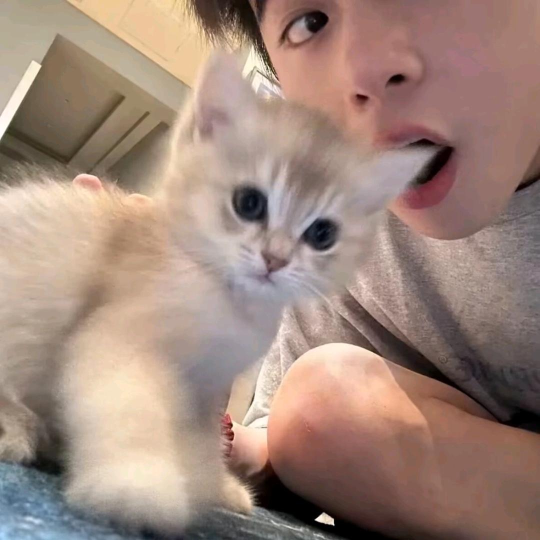 别叫我吃饭a🏸️