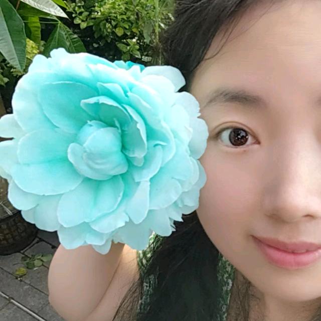 深圳市南山区植得花艺
