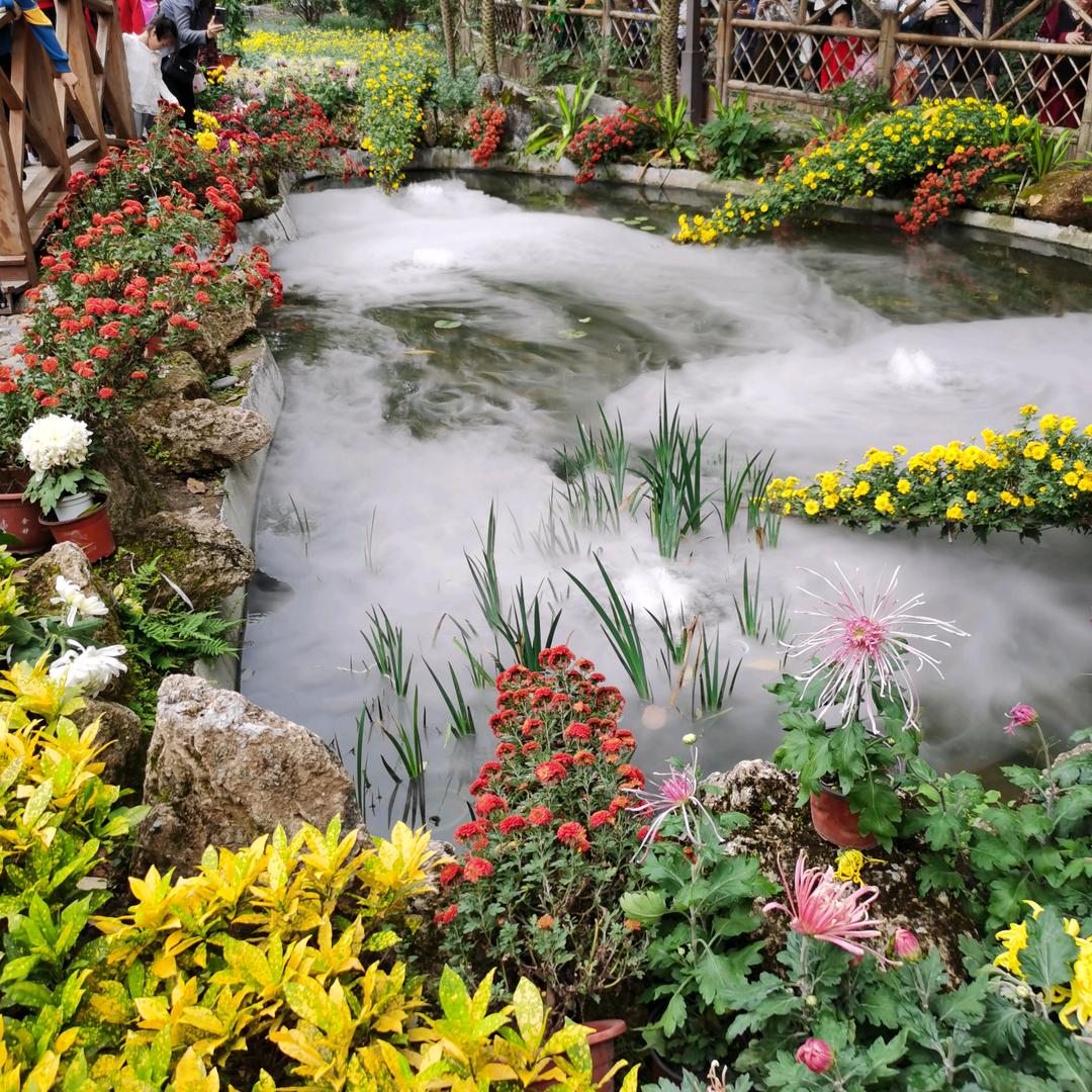 ლ(́◉◞౪◟◉‵ლ)