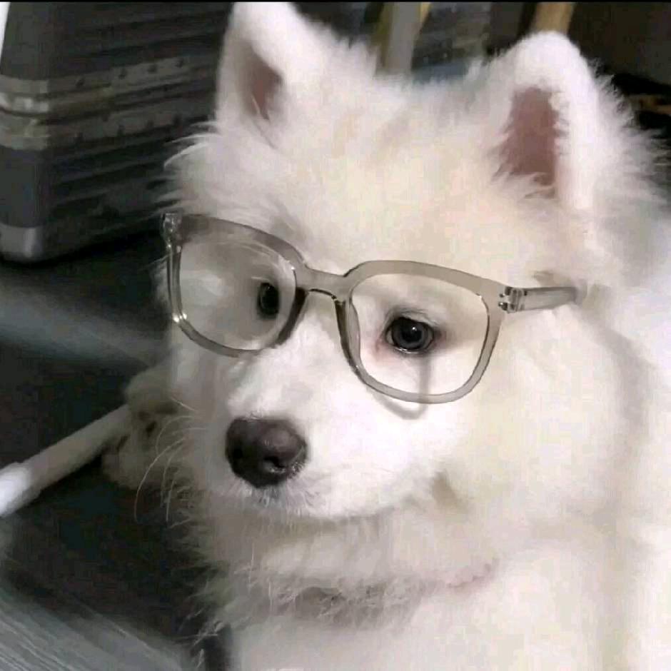 青城色（世一飞舞）