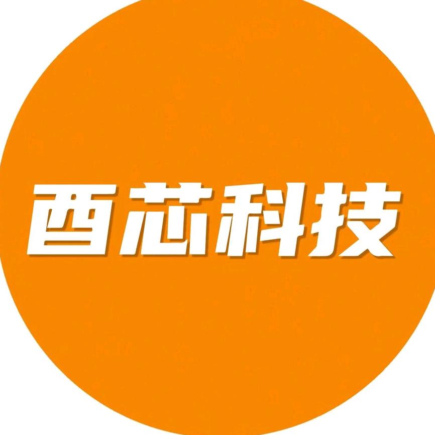 酉芯科技智能监控