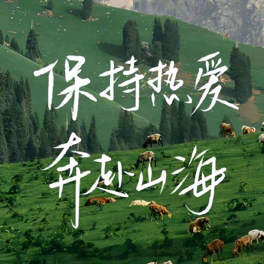 鱼凫
