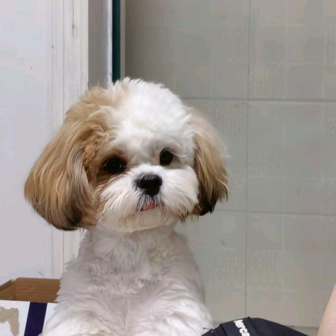 创新融合