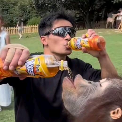 牛爷爷爆破学习通