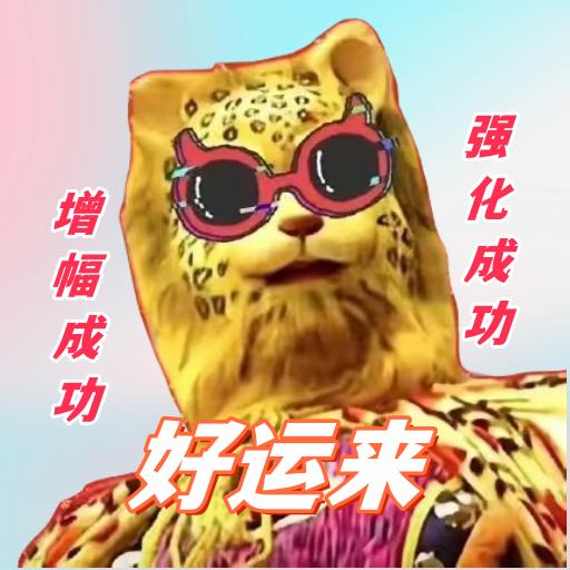 DNF欧皇豹（增幅强化龙袍）