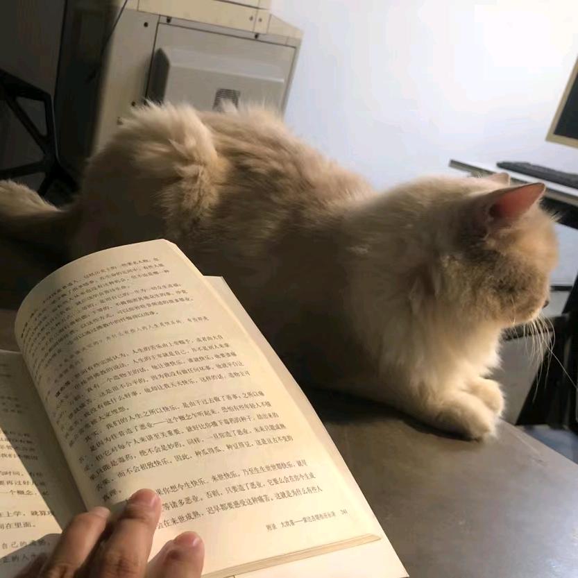 哼.