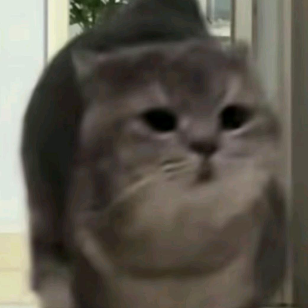 💘白菜紫组合🍧