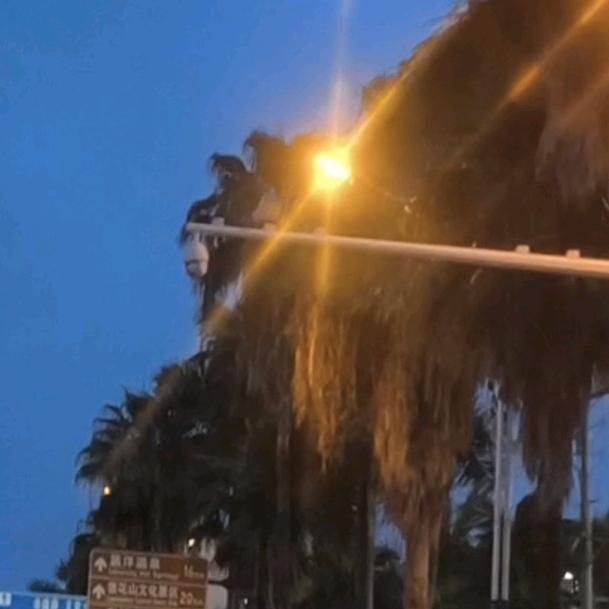 自律健身考公版排球人