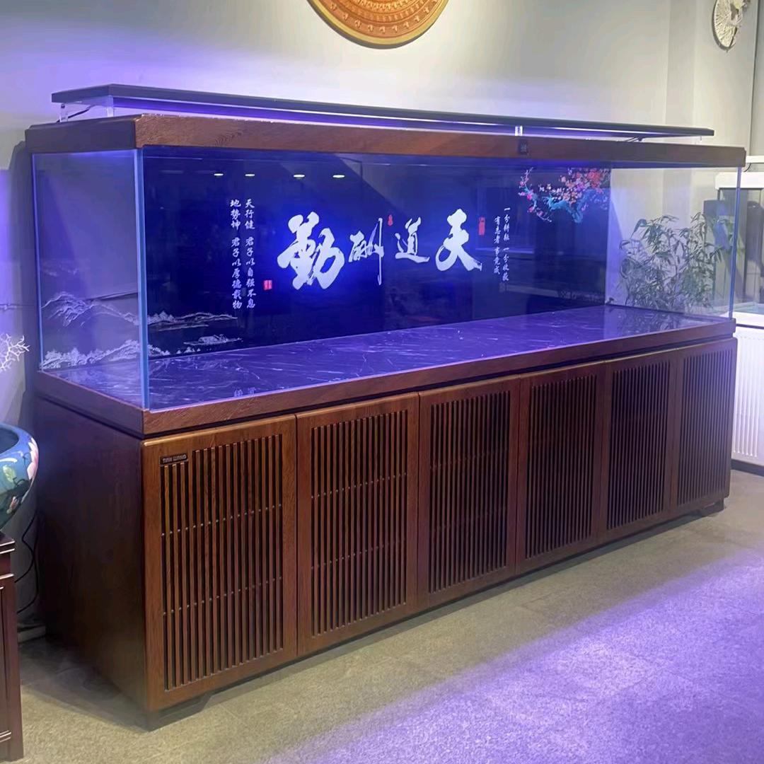 鱼缸：缸哥
