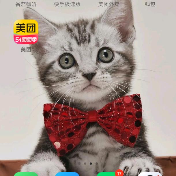 小芳Σ>―(〃°ω°〃)♡→