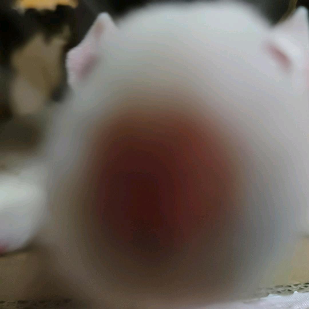 看什么看
