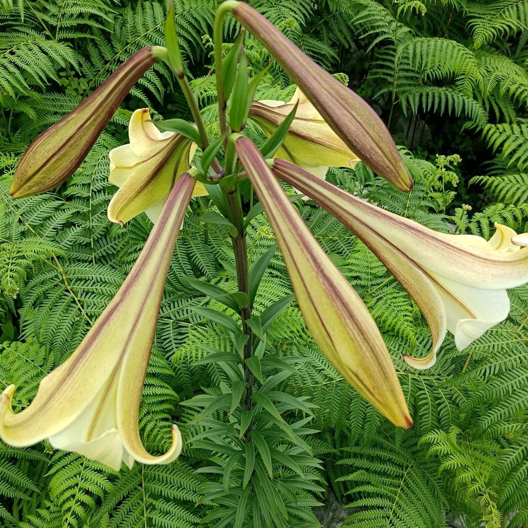 💞相💗伴💓一💘生💞