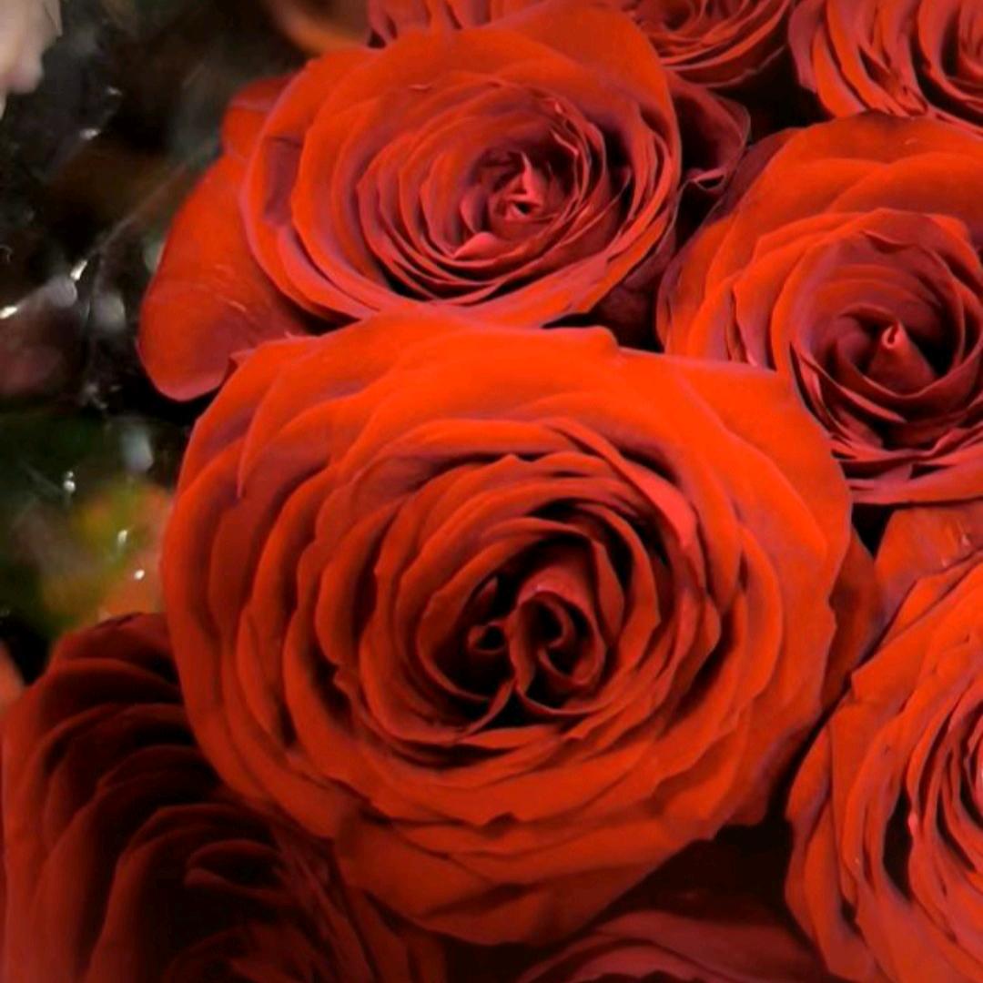 八方来财健康平安喜乐