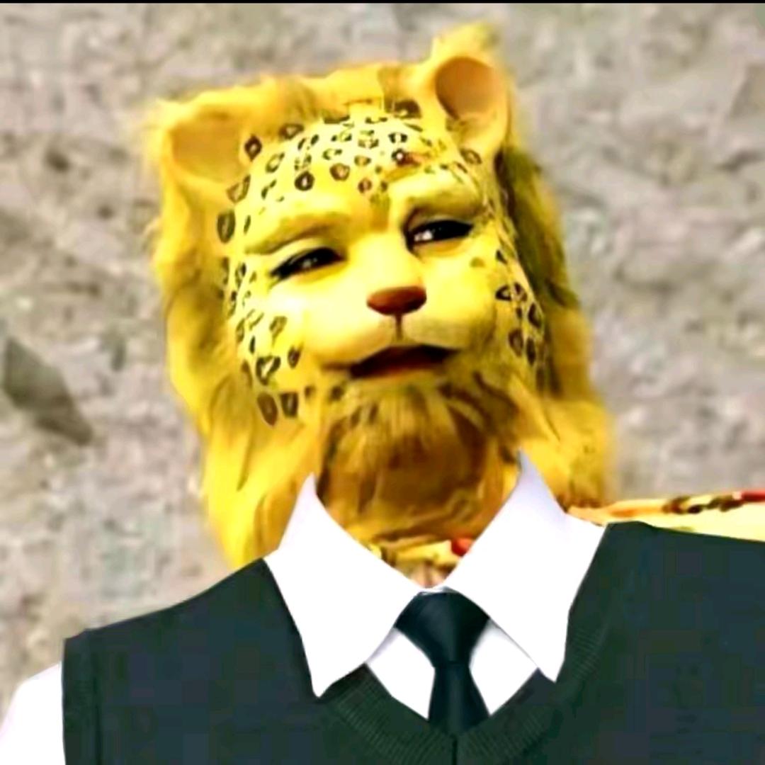 指定是有点猫腻
