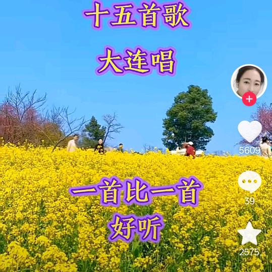 张春红