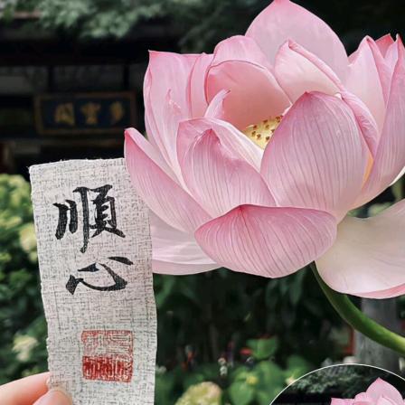 祥芸仙子管理号