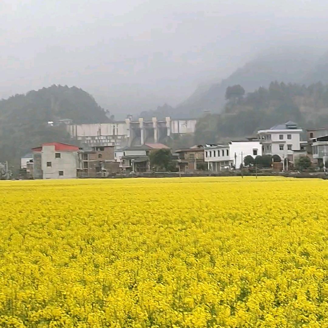 你是我最美的风景