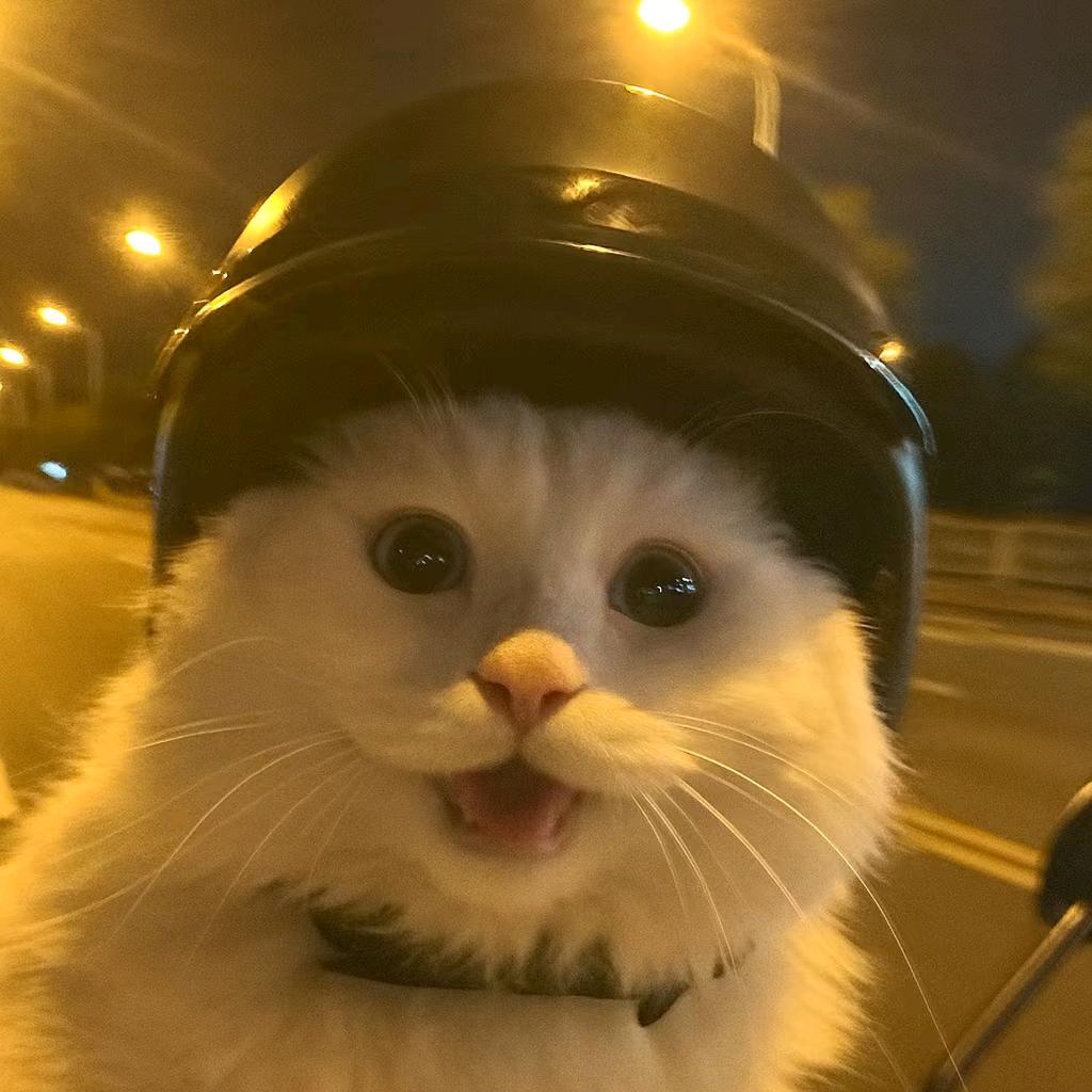 努力努力再努力max(厨艺进阶版)