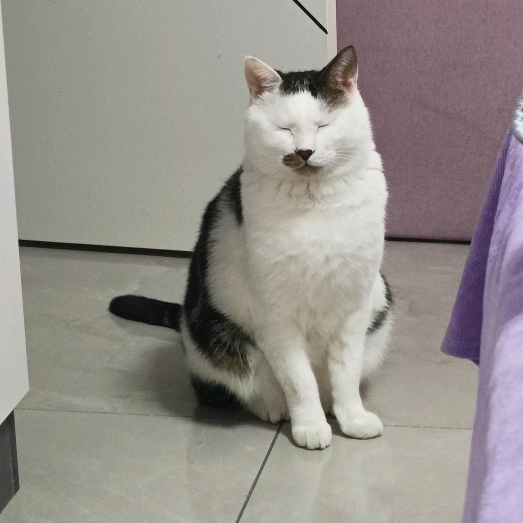 小数点漫游